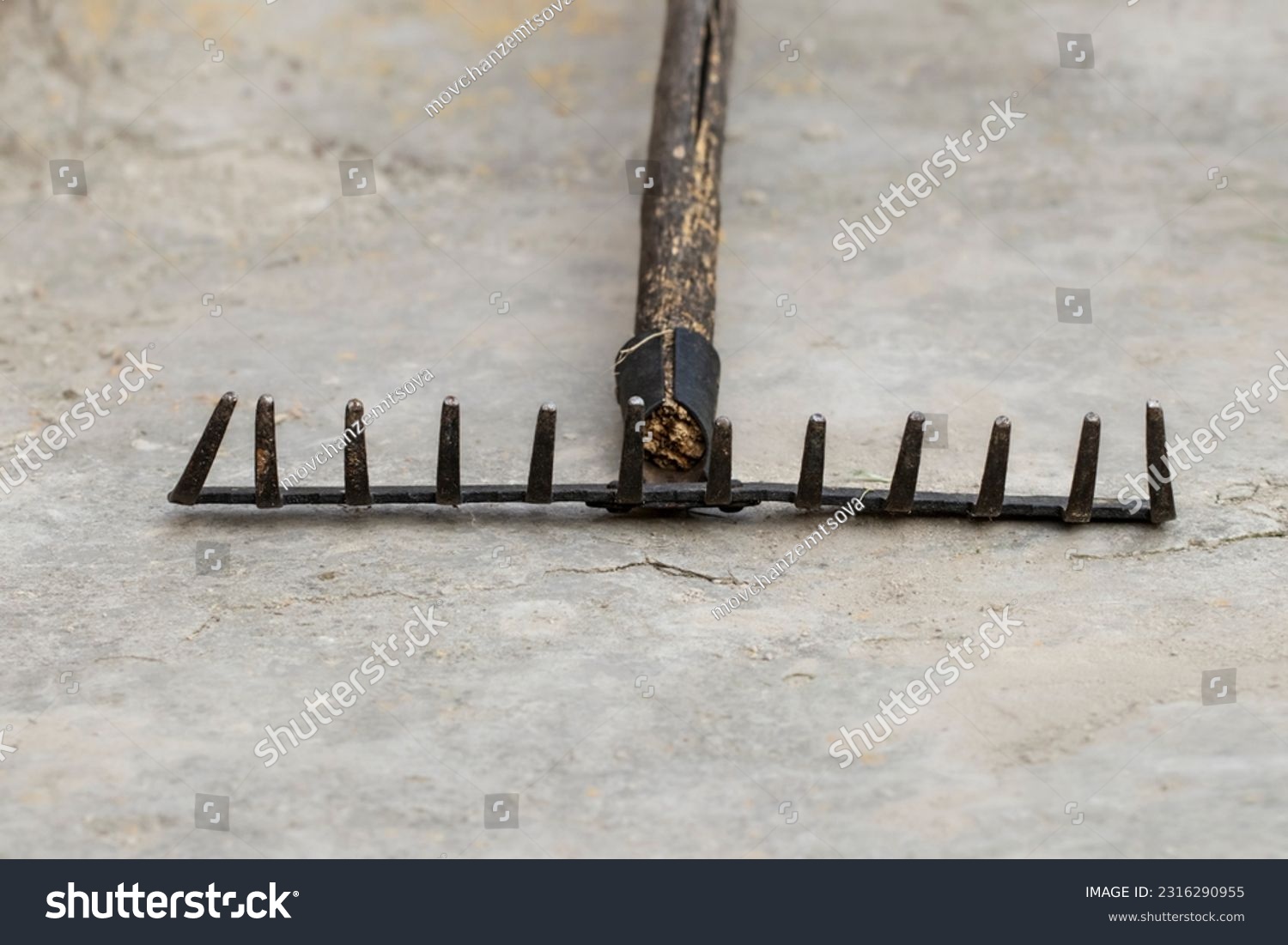 Old metal rake for cleaning leaves and grass, close-up.Yard area cleaning. #2316290955