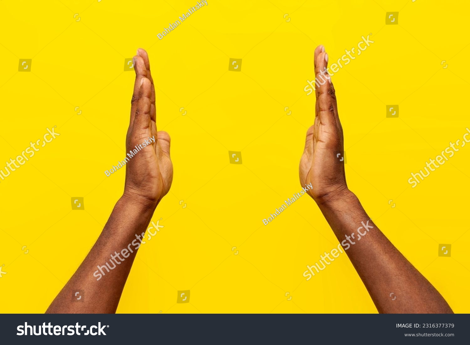 two hands of african american man hold empty space on yellow isolated background, guy shows the size with his hands, close-up #2316377379