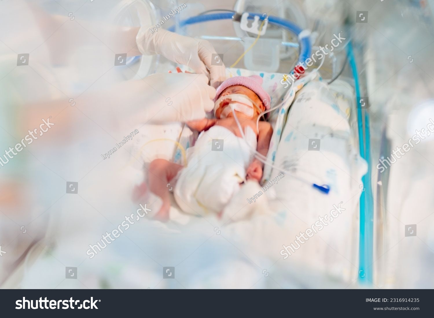Unrecognizable hand in gloves of nurse or doctor taking care of premature baby placed in a medical incubator. Neonatal intensive care unit in hospital. #2316914235