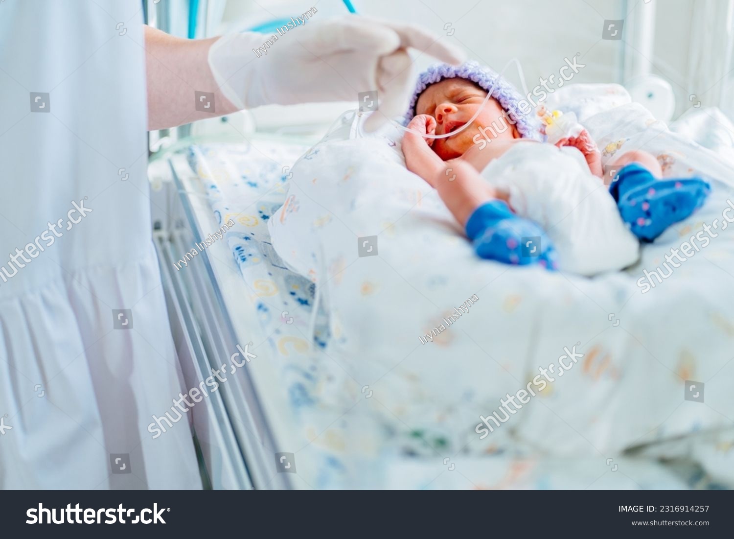Unrecognizable female nurse wearing uniform touch and care premature born baby in intensive care unit holding cute infant in her hands. #2316914257