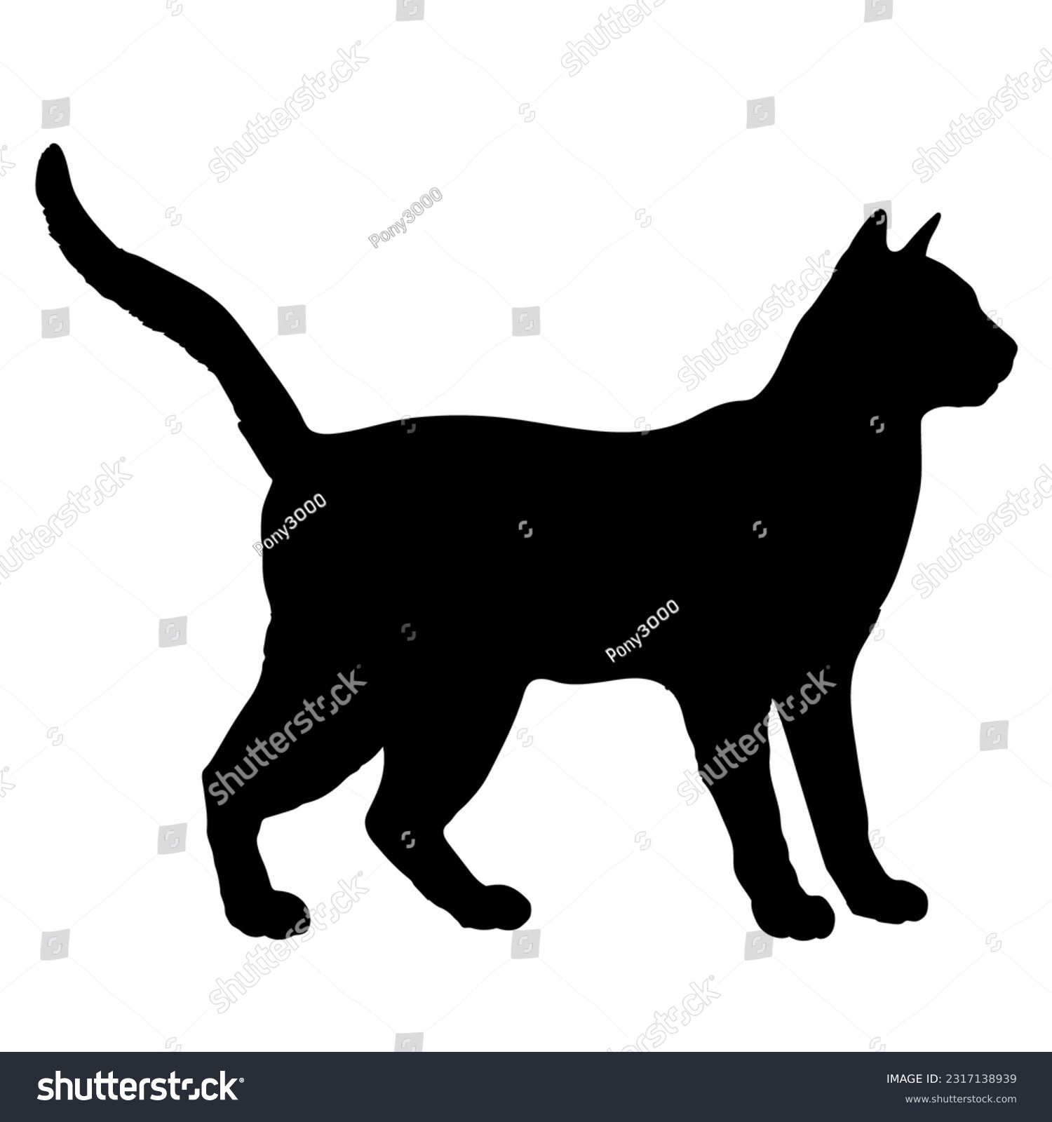 Russian Blue cat silhouette cat breeds vector - Royalty Free Stock ...