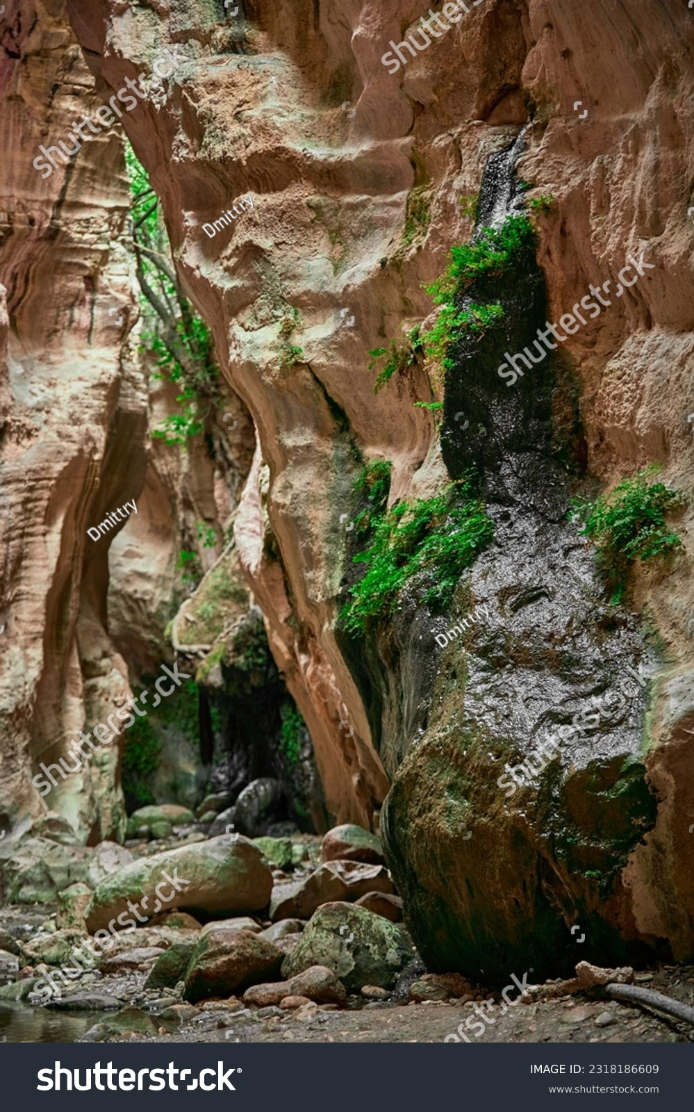 Avakas Gorge in Paphos District. Nature trail #2318186609