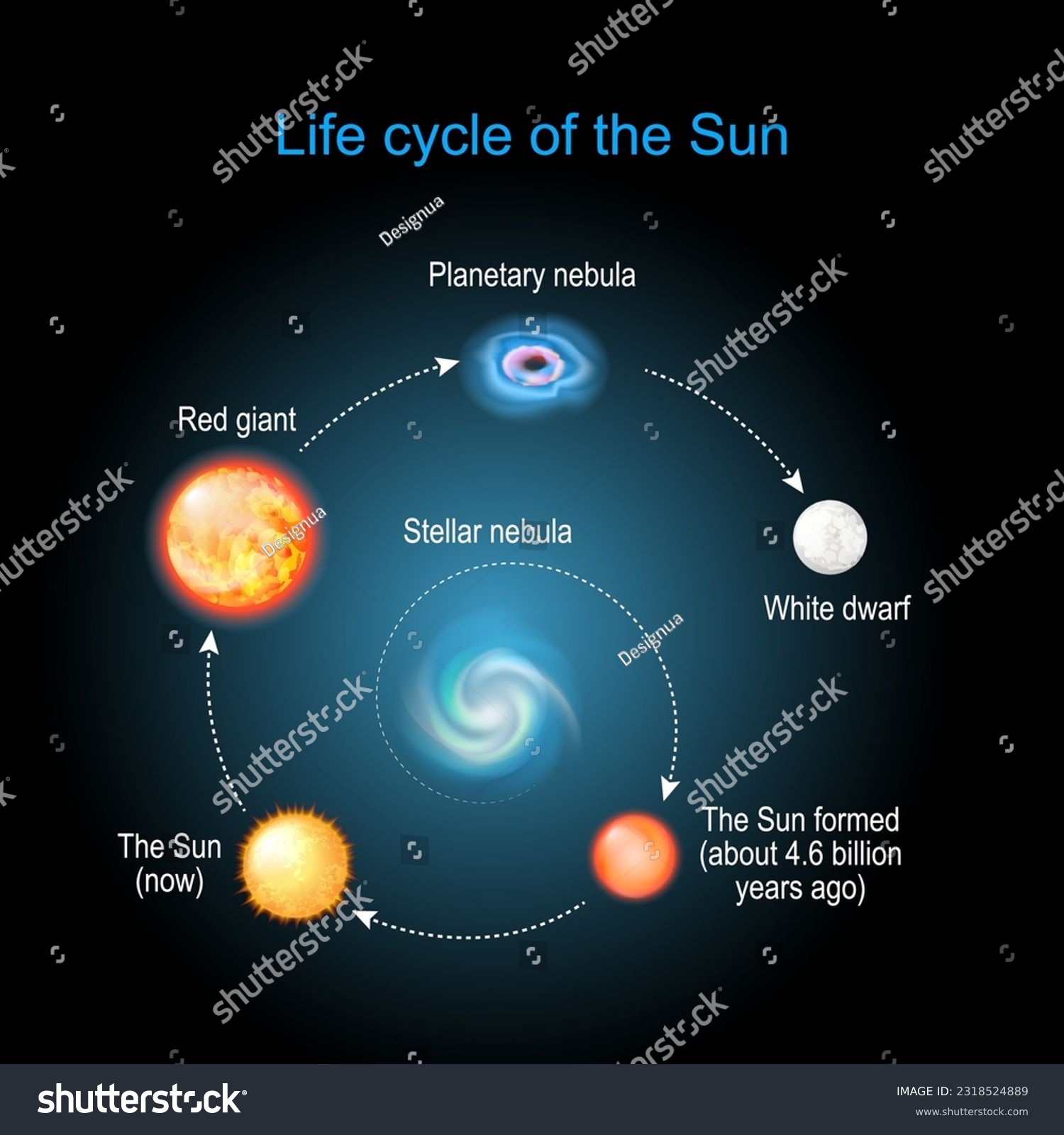 Life cycle of The Sun from Stellar nebula, to - Royalty Free Stock ...