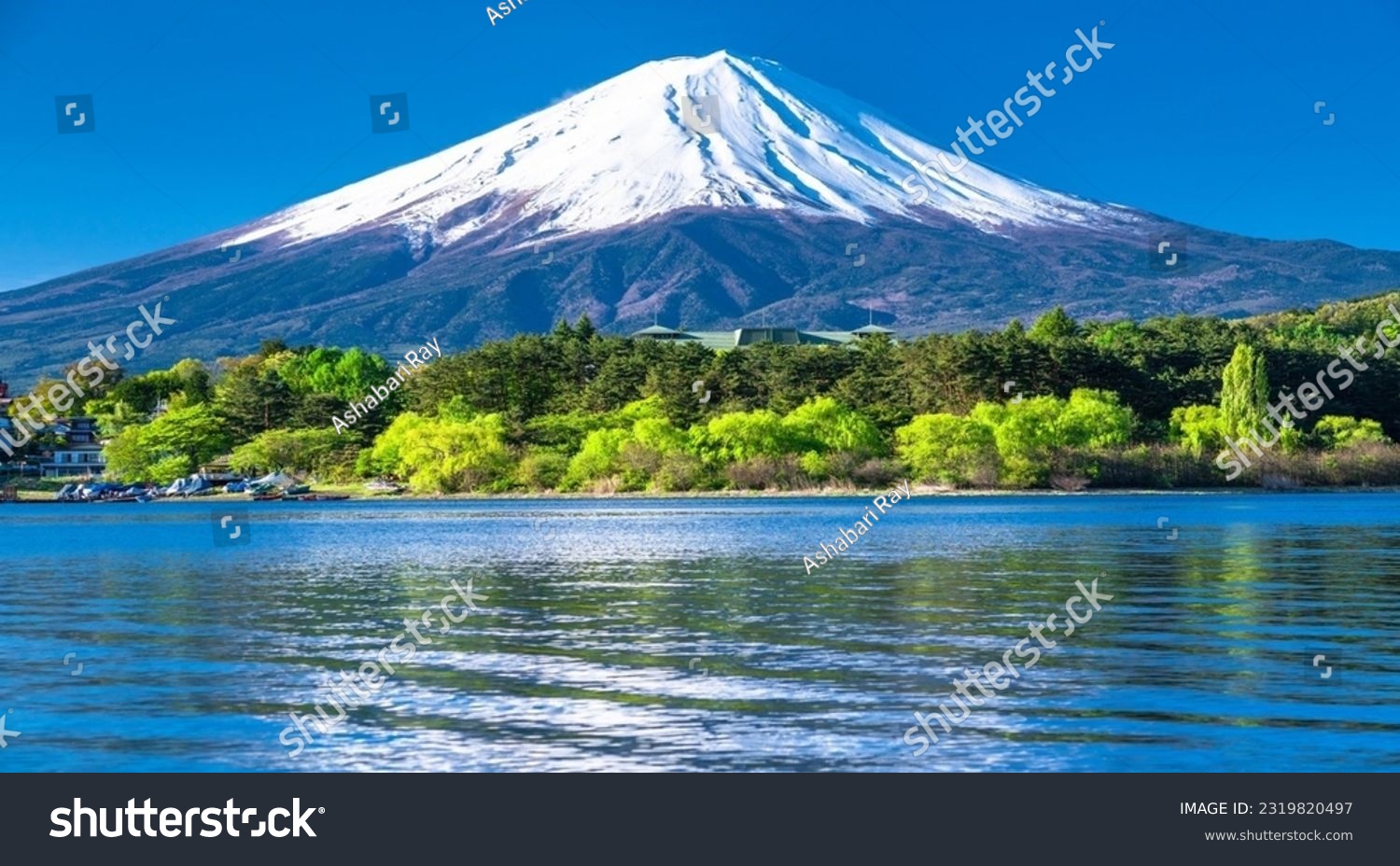 beautiful Mountain of Japan Mount Fuji #2319820497