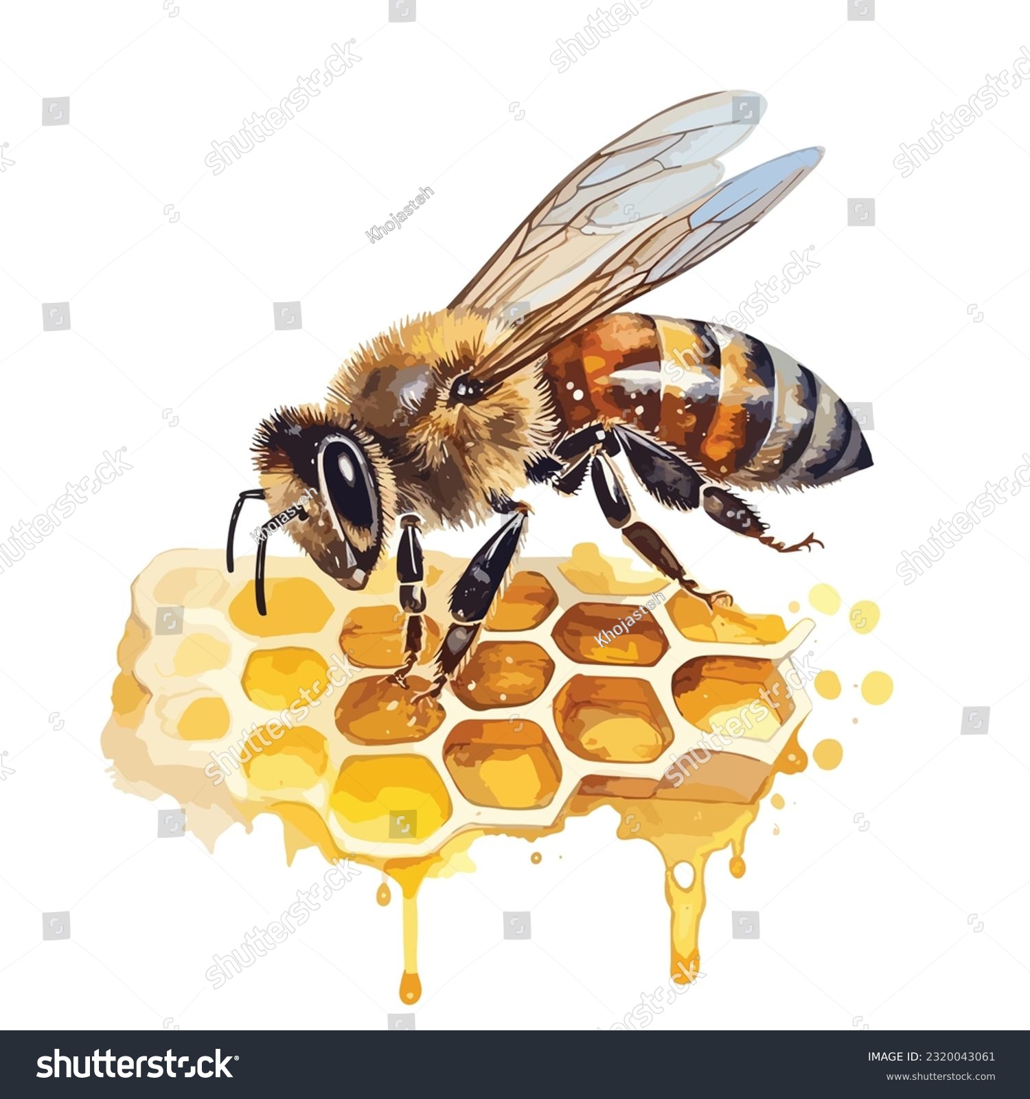 Watercolor bee honeycomb honey .vector bee illustration in watercolor style, honey hive, isolated on white background #2320043061