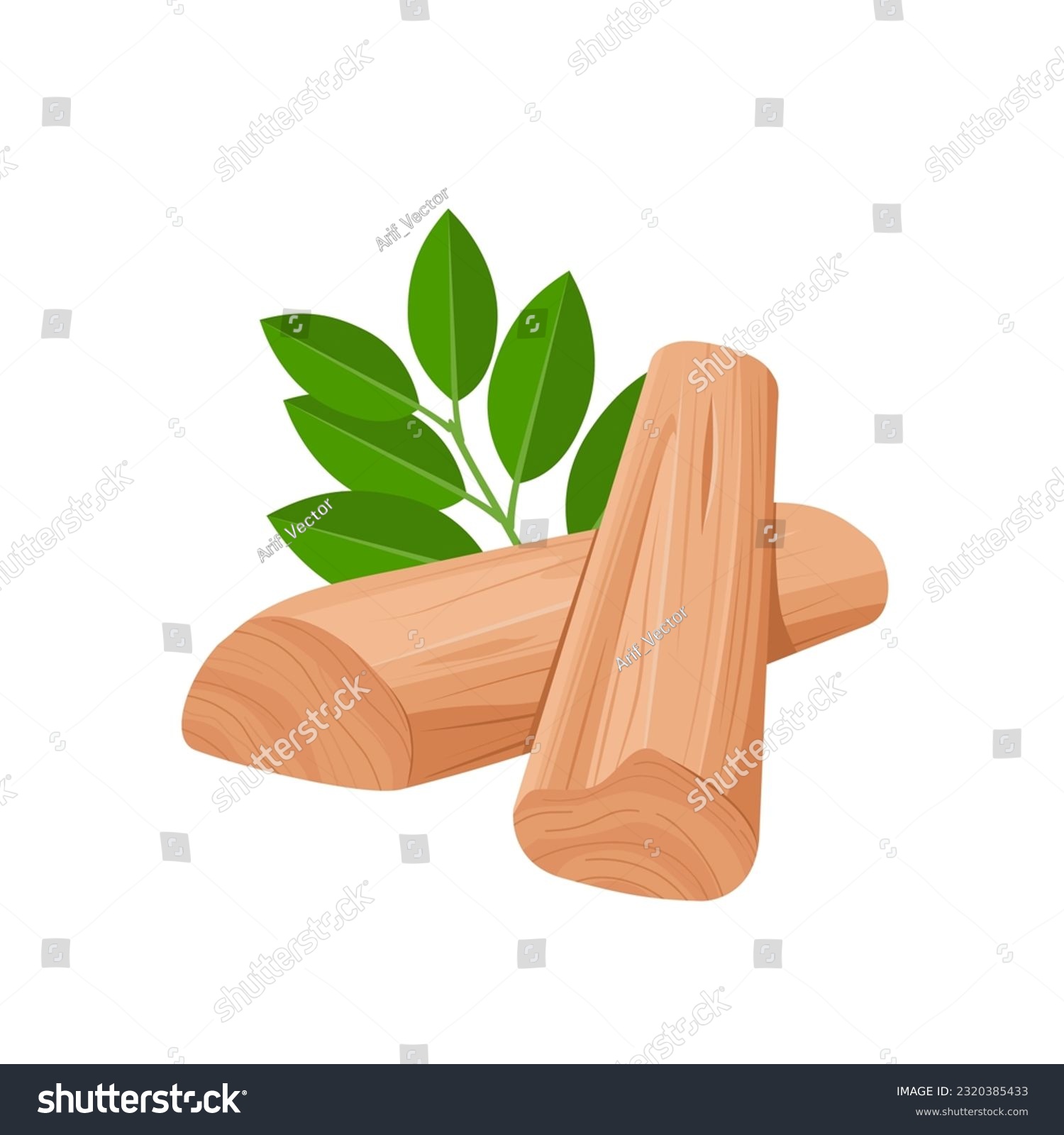 Vector illustration, sandalwood with green leaves, isolated on white background. #2320385433