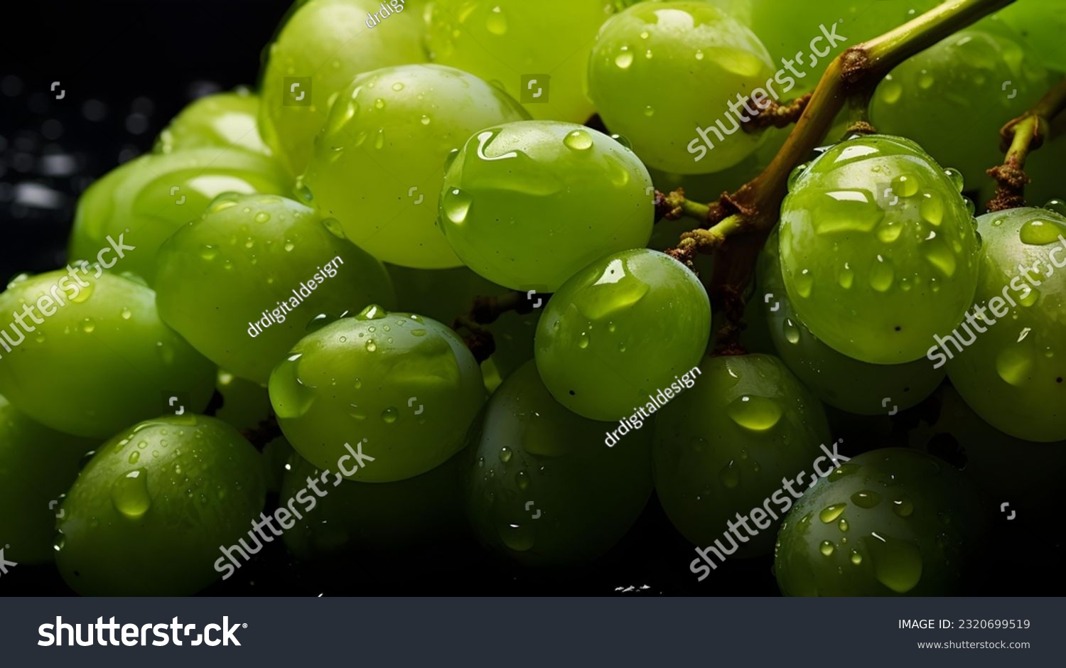 Overhead Shot of green Grapes with visible Water Drops. Close up.
 #2320699519