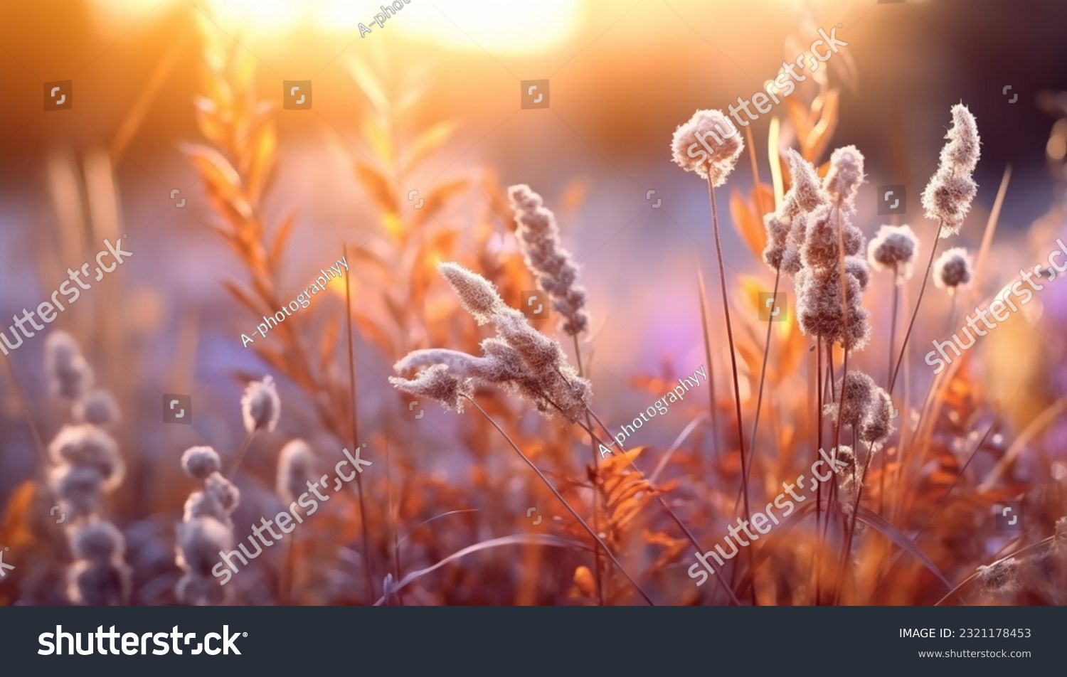 meadow flowers in early sunny fresh morning. Vintage autumn landscape background. colorful beautiful fall flowers magical #2321178453
