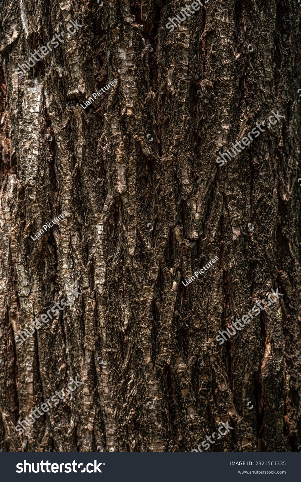 a wooden affix,a bark of a tree

 #2321561335