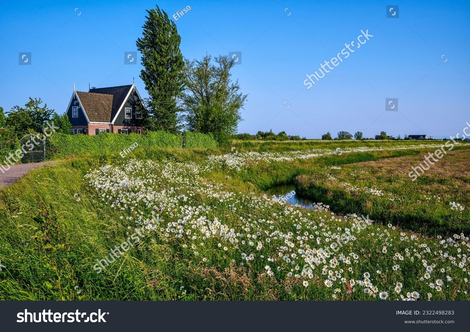 A house in the village by the river. Rural house in clear day. Country house in summer meadow. Meadow grass around countryside house #2322498283