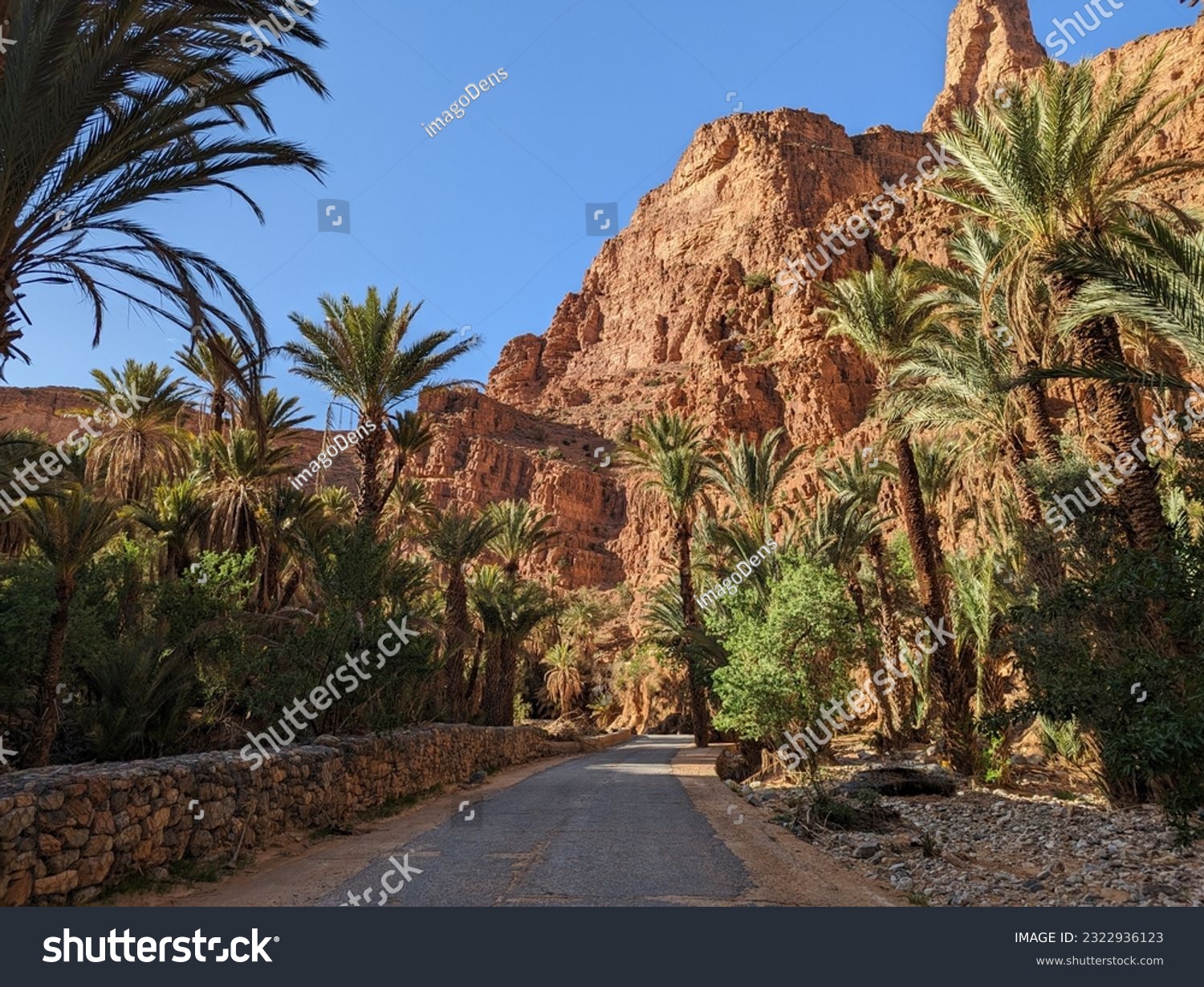 Scenic oasis Ait Mansour in the Anti-Atlas mountains of Morocco #2322936123