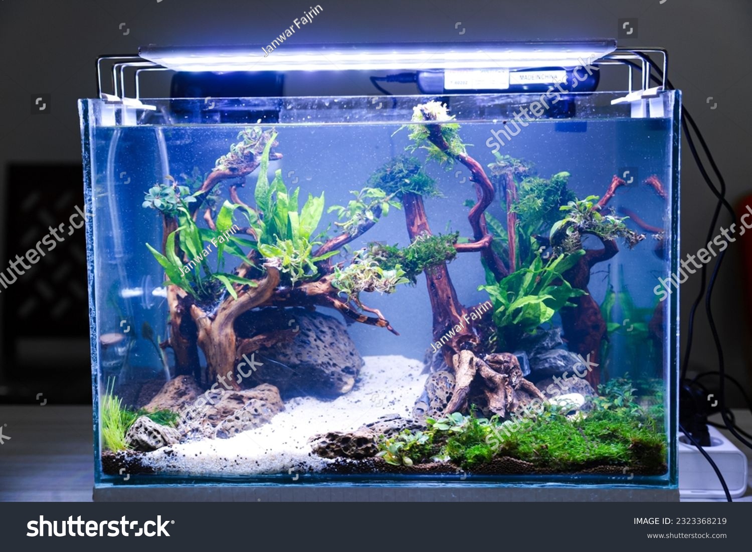new aquascape tank layout with plants after filling with water without fish #2323368219