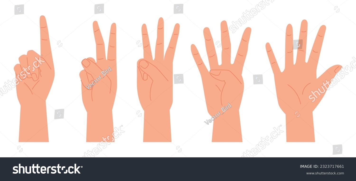 Hand gestures. Vector illustration set, counting - Royalty Free Stock ...