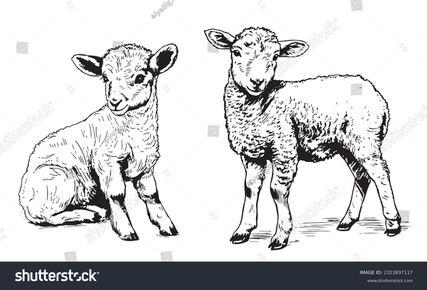 Cute lamb sketch hand drawn in doodle style Farming illustration #2323837117