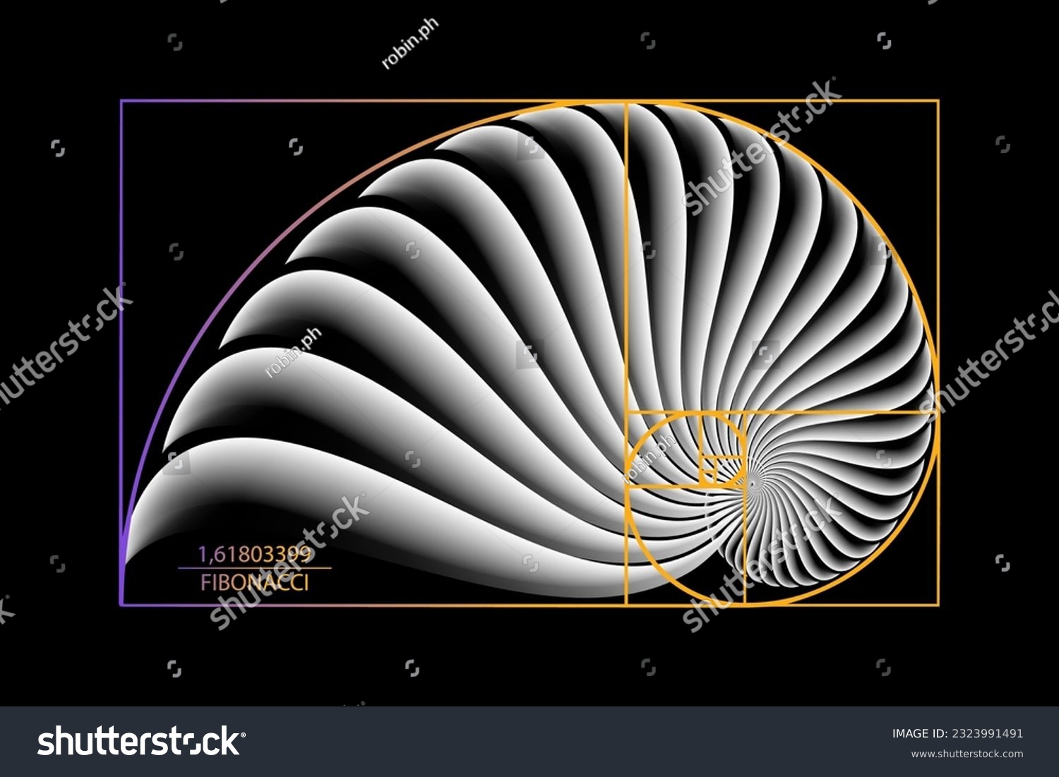 Fibonacci Sequence Golden Ratio. Geometric - Royalty Free Stock Vector ...