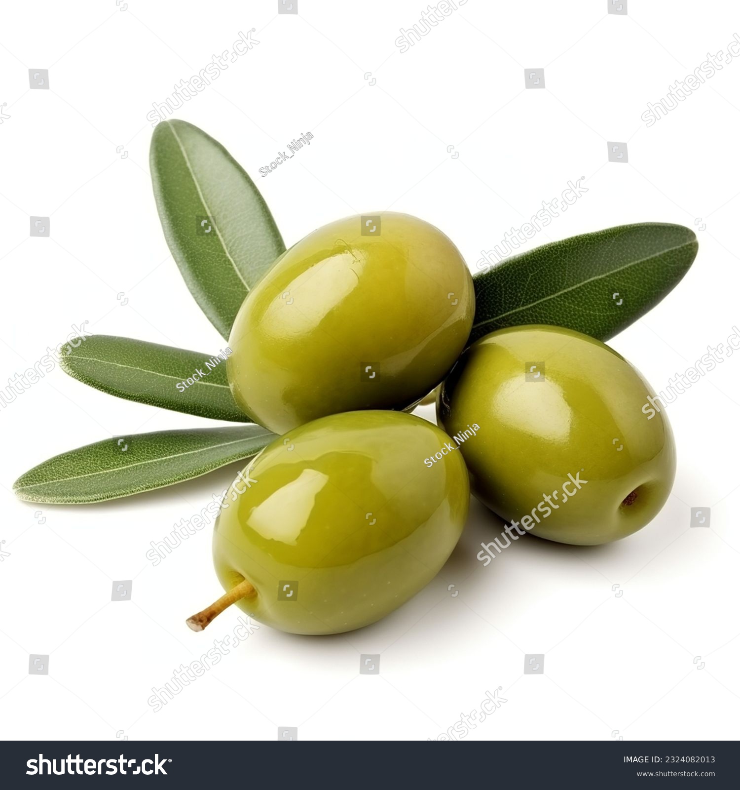 olive with leaf isolated white background #2324082013