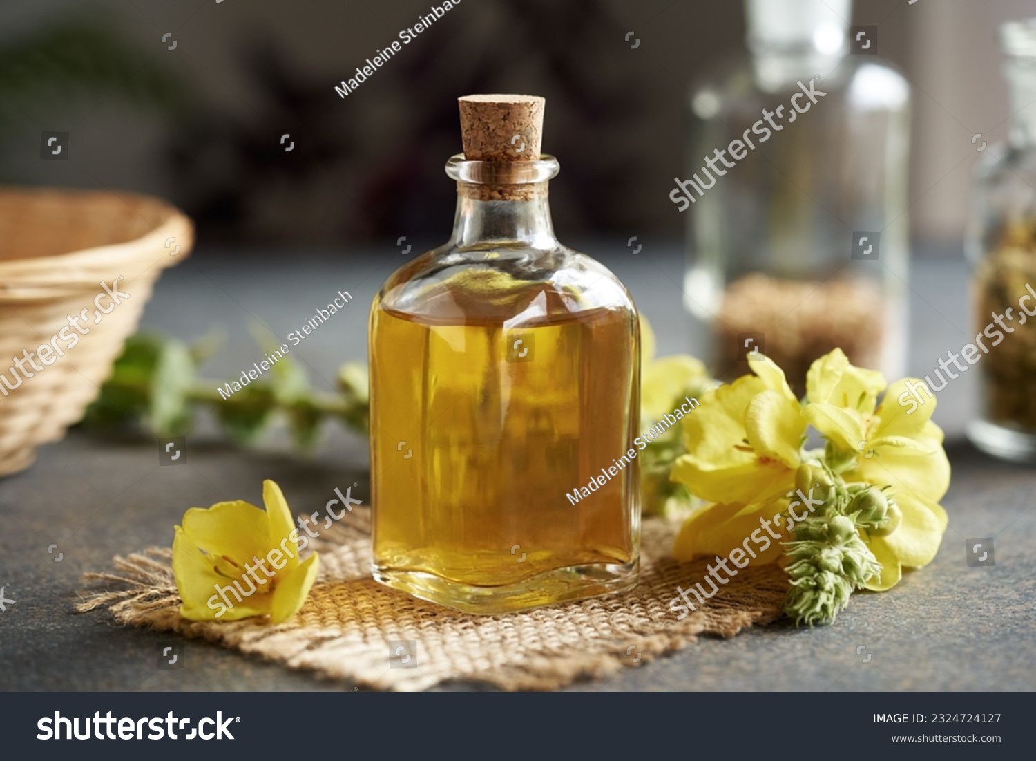 A bottle of mullein or Verbascum tincture with fresh plant on a table #2324724127