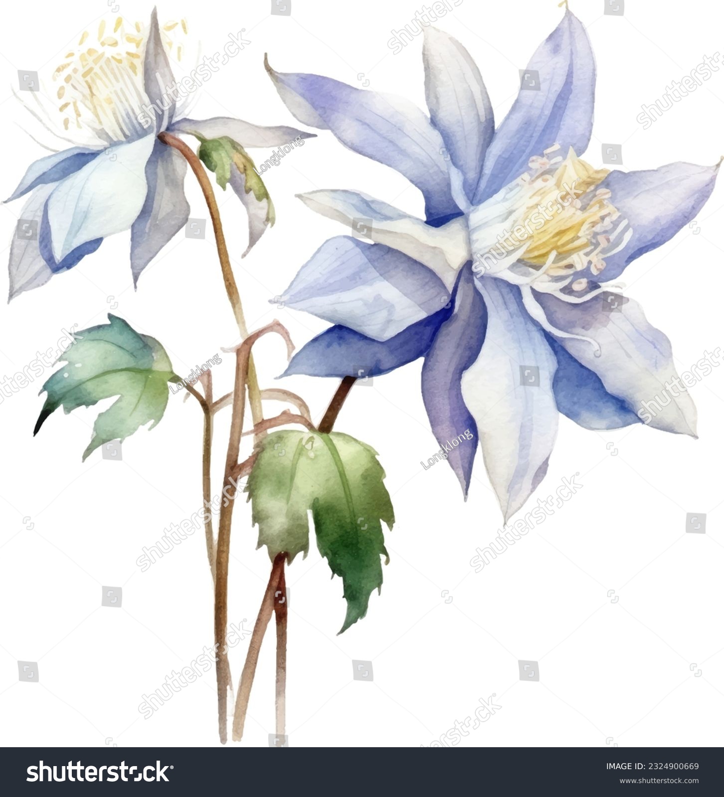 Columbine Watercolor illustration. Hand drawn underwater element design. Artistic vector marine design element. Illustration for greeting cards, printing and other design projects. #2324900669