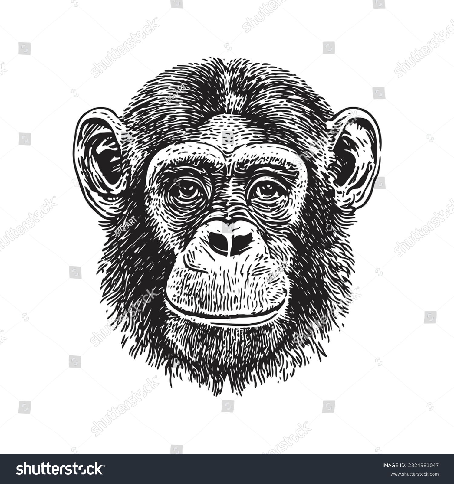 Chimpanzee Head Vector Illustration Hand Drawn Royalty Free Stock Vector Avopix Com