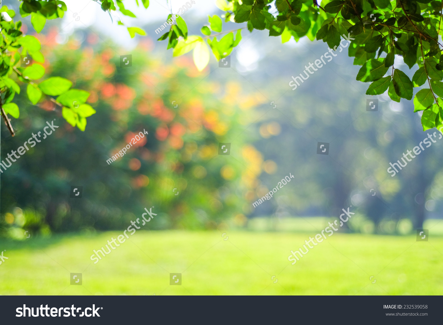 Blur garden tree nature background with bokeh light, Blurred spring green garden, park in spring and summer, Blur nature outdoor abstract background #232539058