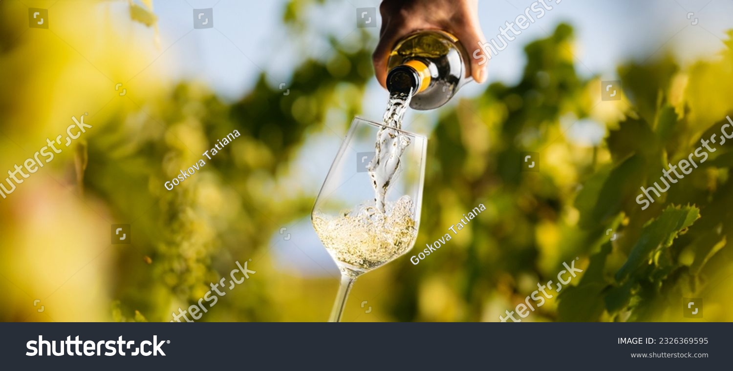 Wine glass with pouring white wine and vineyard landscape in sunny day. Winemaking concept, copy space #2326369595
