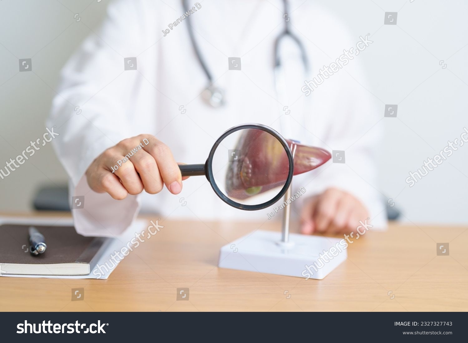 Doctor with human Liver model and Magnifying glass. Liver cancer and Tumor, Jaundice, Viral Hepatitis A, B, C, D, E, Cirrhosis, Failure, Enlarged, Hepatic Encephalopathy and Ascites Fluid in Belly #2327327743