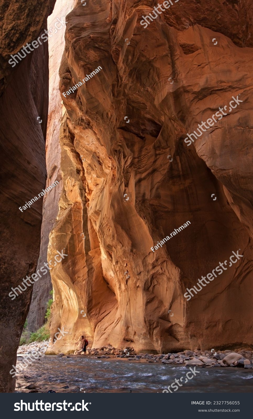 Dark narrows; Zion Canyon, Lone explorer, Virgin Narrows, Zion Narrows cascade, Narrow narrows, Ochre glow, Opalescent pool, Virgin, Pebbles, Reflected rock, glow; Zion, Two figures,  #2327756055