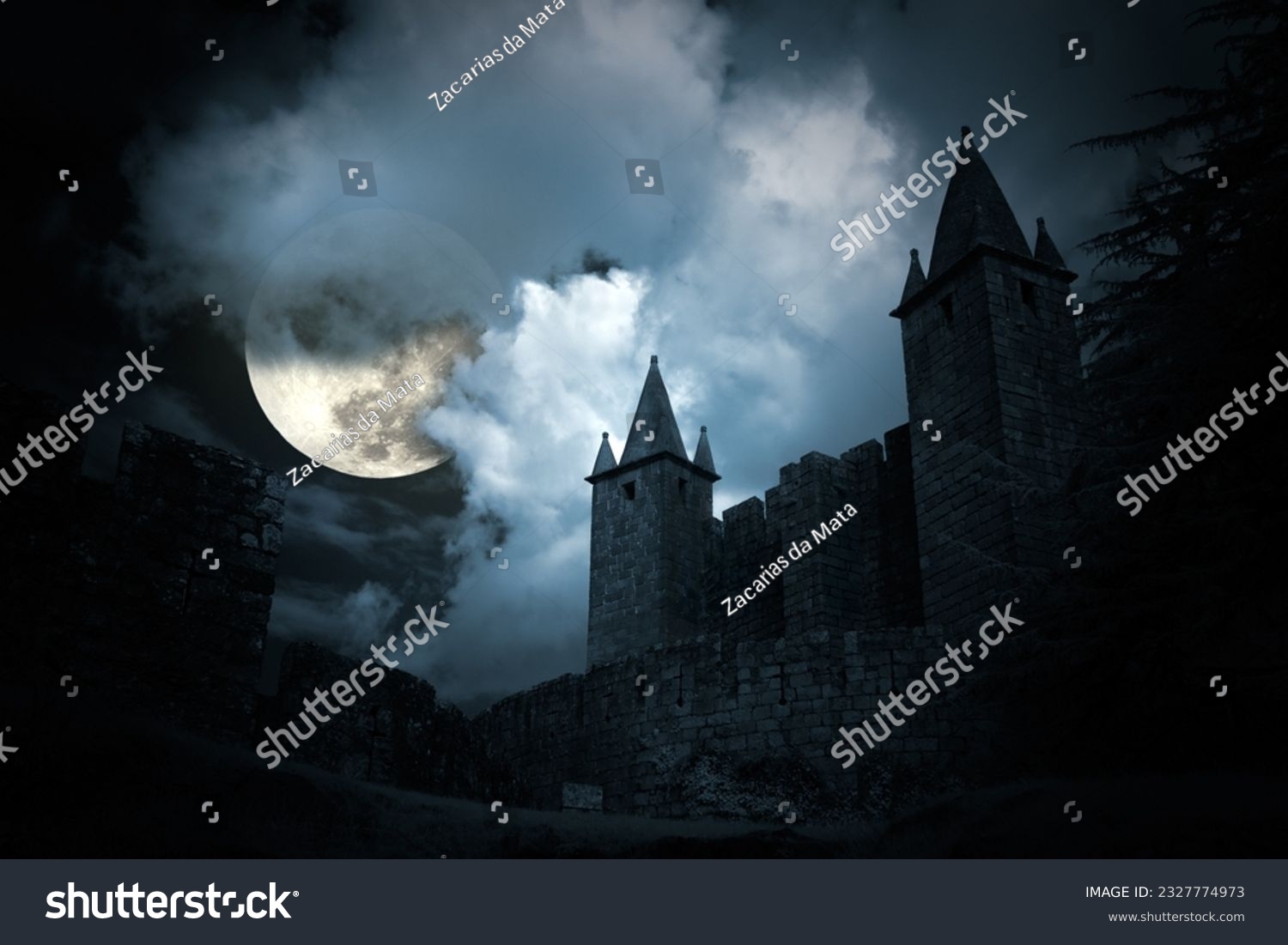 Mysterious medieval castle in a full moon night #2327774973
