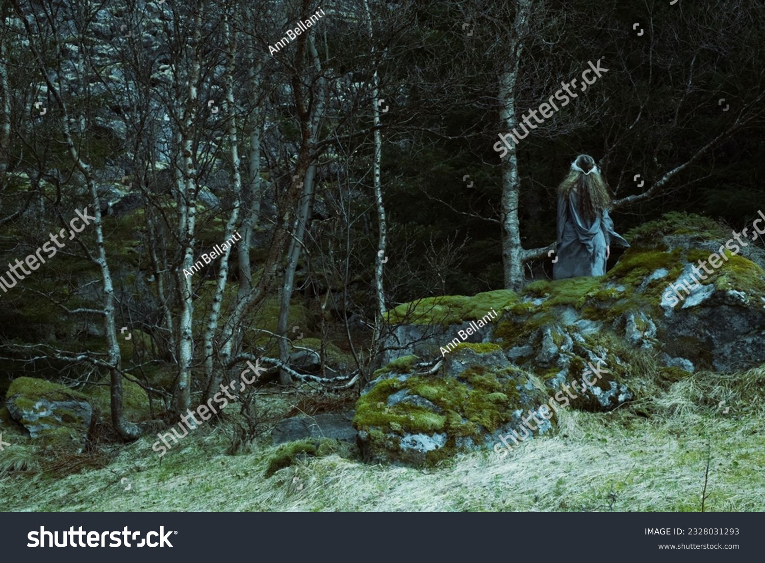 Norse woman looking into dense woods. Medieval clothing and closeness to nature evokes another time and world lost to us in our modern world. Creative coloring and textures evokes mysticism. #2328031293