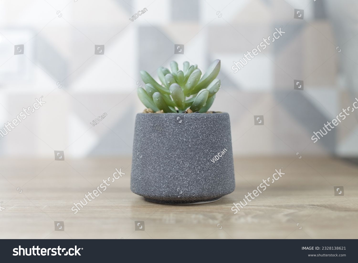 Concrete pot. succulent plant in modern geometric concrete planter on wooden table #2328138621