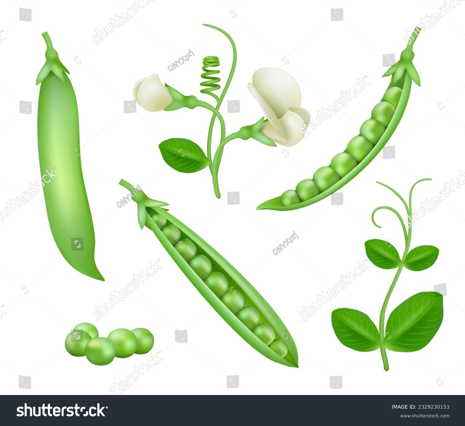 Green peas. Vegan natural food green pea pods healthy products decent vector collection set #2329230153