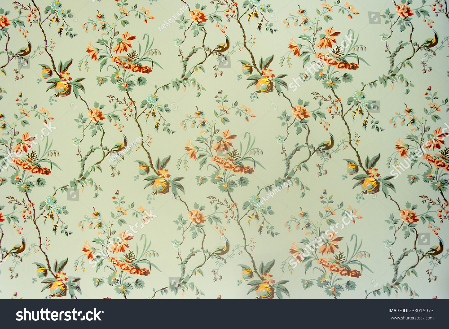 Vintage wallpaper - Floral pattern of 18th century #233016973