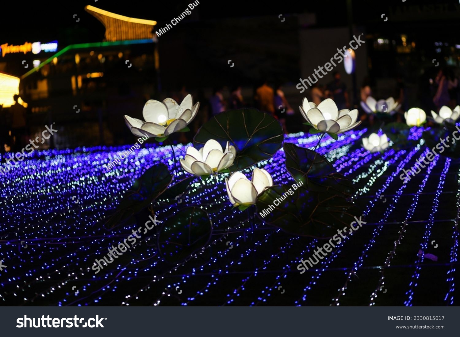 Blooming lotus flowers on the fresh water with led lights celebrating Vietnam-Japan diplomatic relations at Bach Dang Wharf Park, Ho Chi Minh City #2330815017