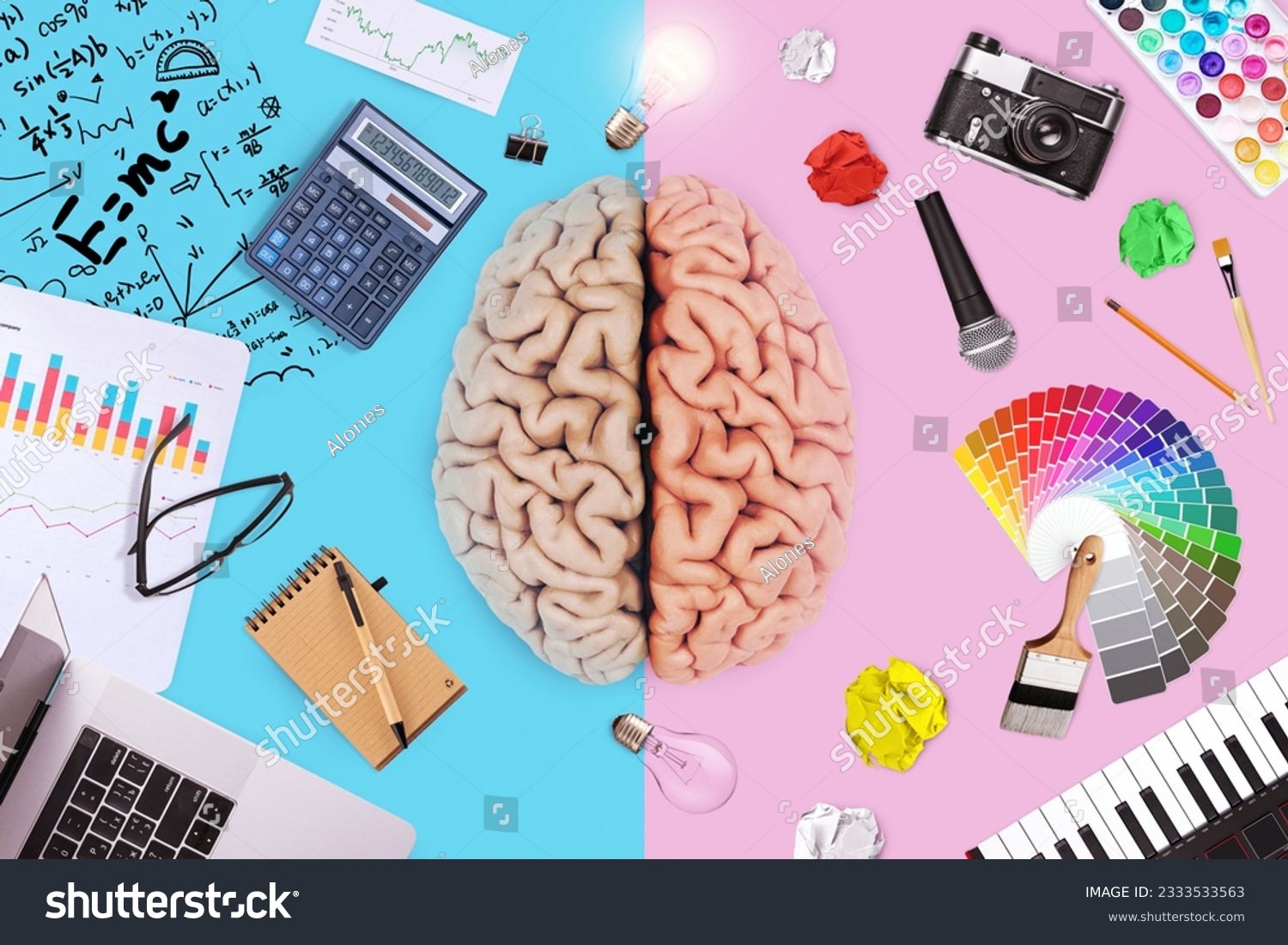 Creative brain with left math business functions and right creative art ability. Logic, mind and skills, creative idea. Teaching choice, concept. School and college. Genius #2333533563