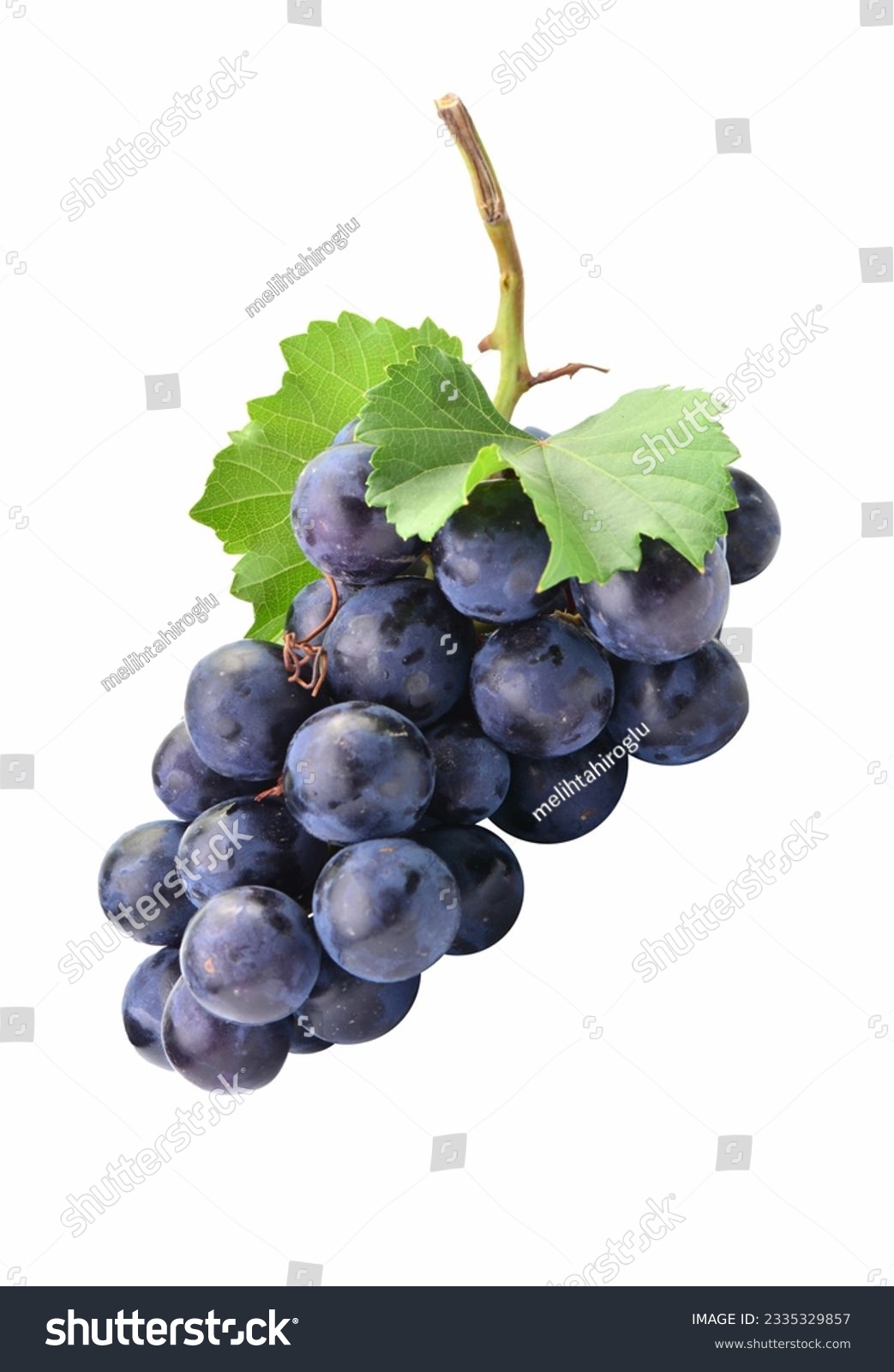 black grape dark blue grape isolated on white background. With clipping path. Full depth of field #2335329857