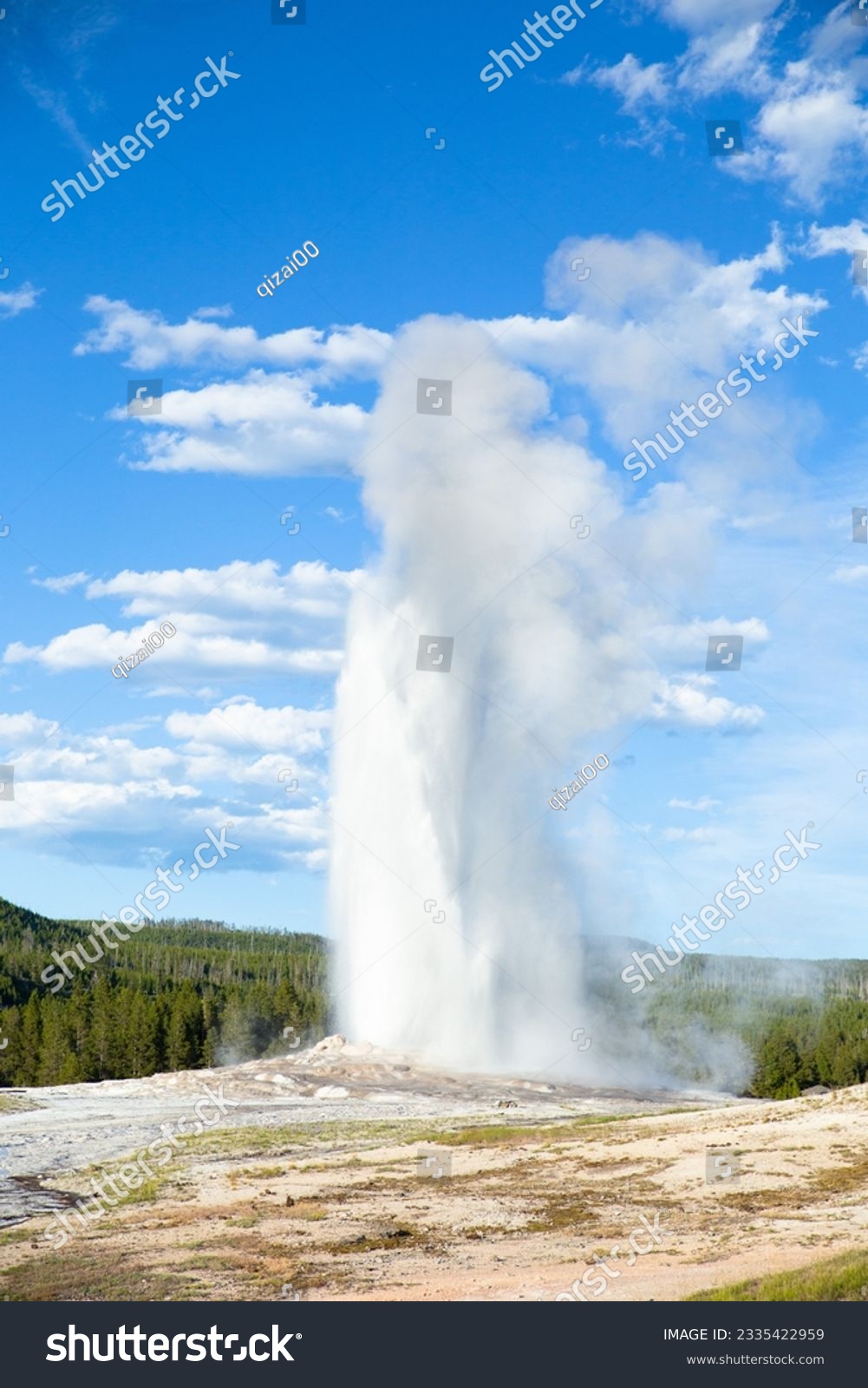 the old faithful geyser erupting in Yellowstone National Park #2335422959