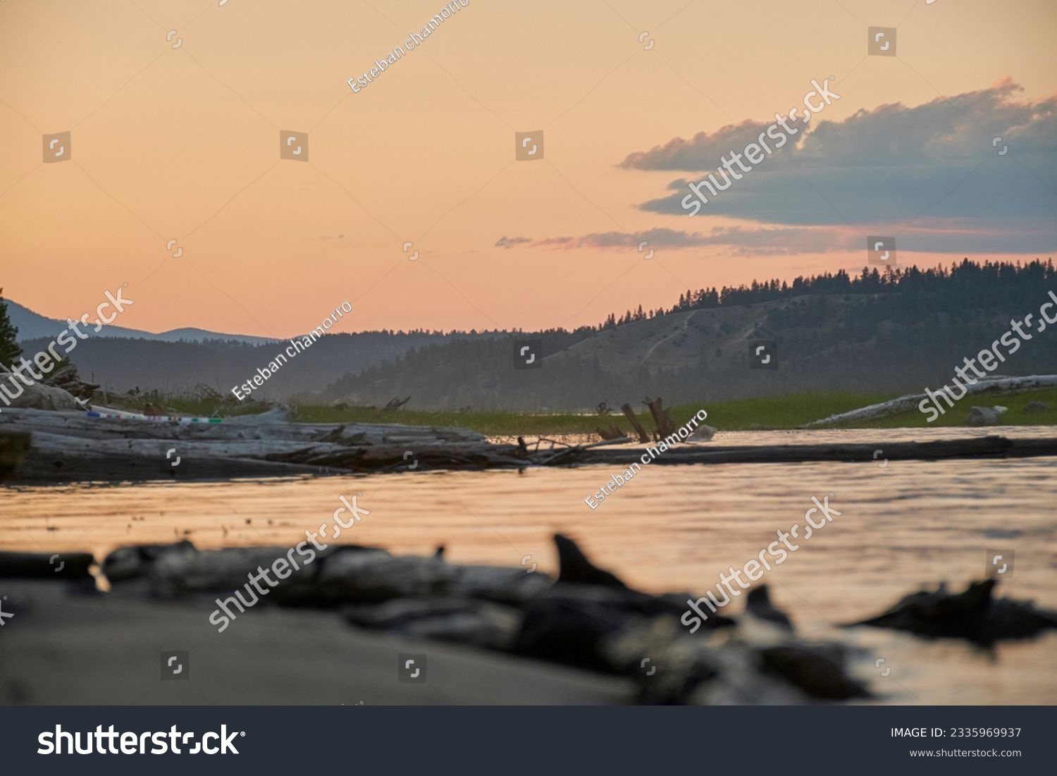 At ground level on large white sandy beach large lake full of large white wooden logs small grassy islands orange sunset large white clouds over the mountains #2335969937