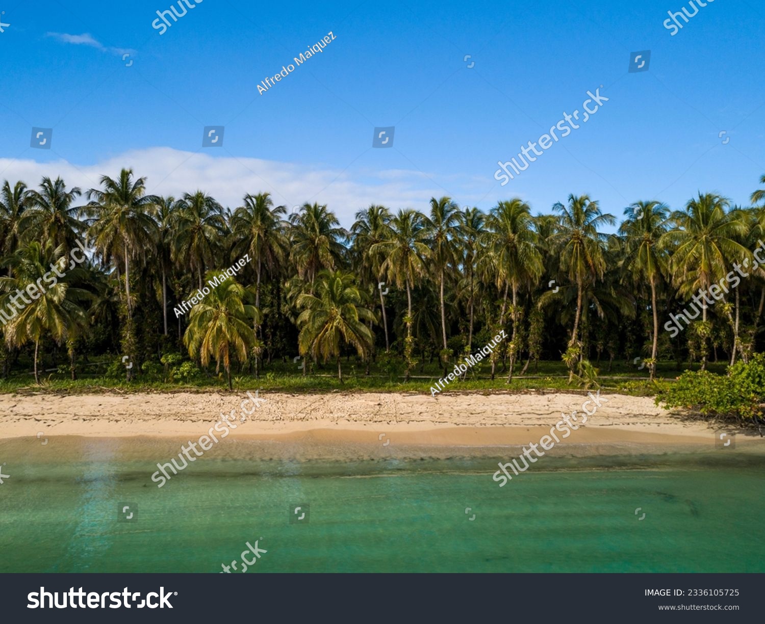 Desert tropical beach. Zapatilla island, Bocas del Toro, Panama - stock photo #2336105725