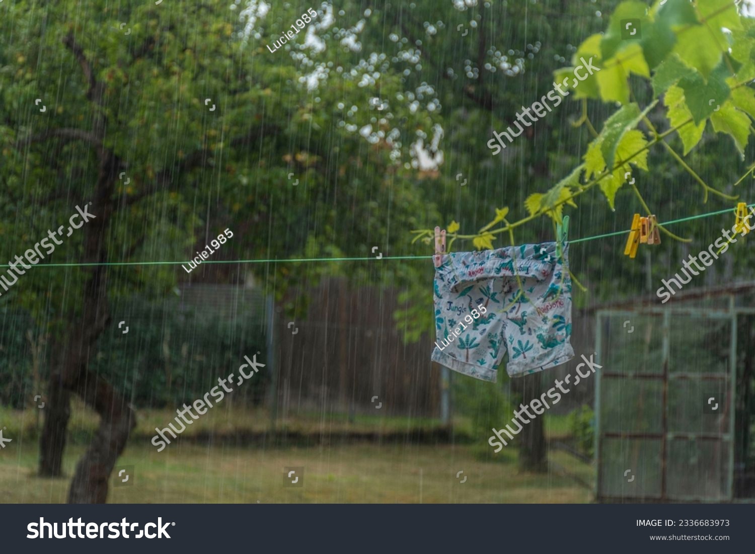 washed clothes in summer rain get wet again #2336683973