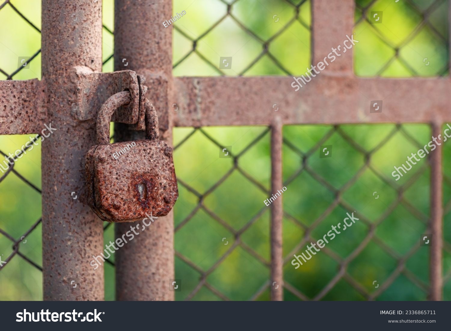 old, rusty padlock on the gate  #2336865711