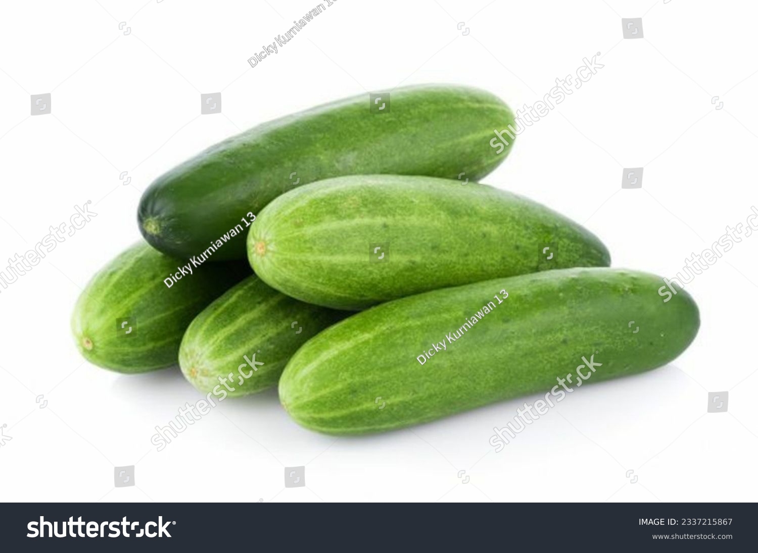 Green cucumber texture template arranged and harvested #2337215867