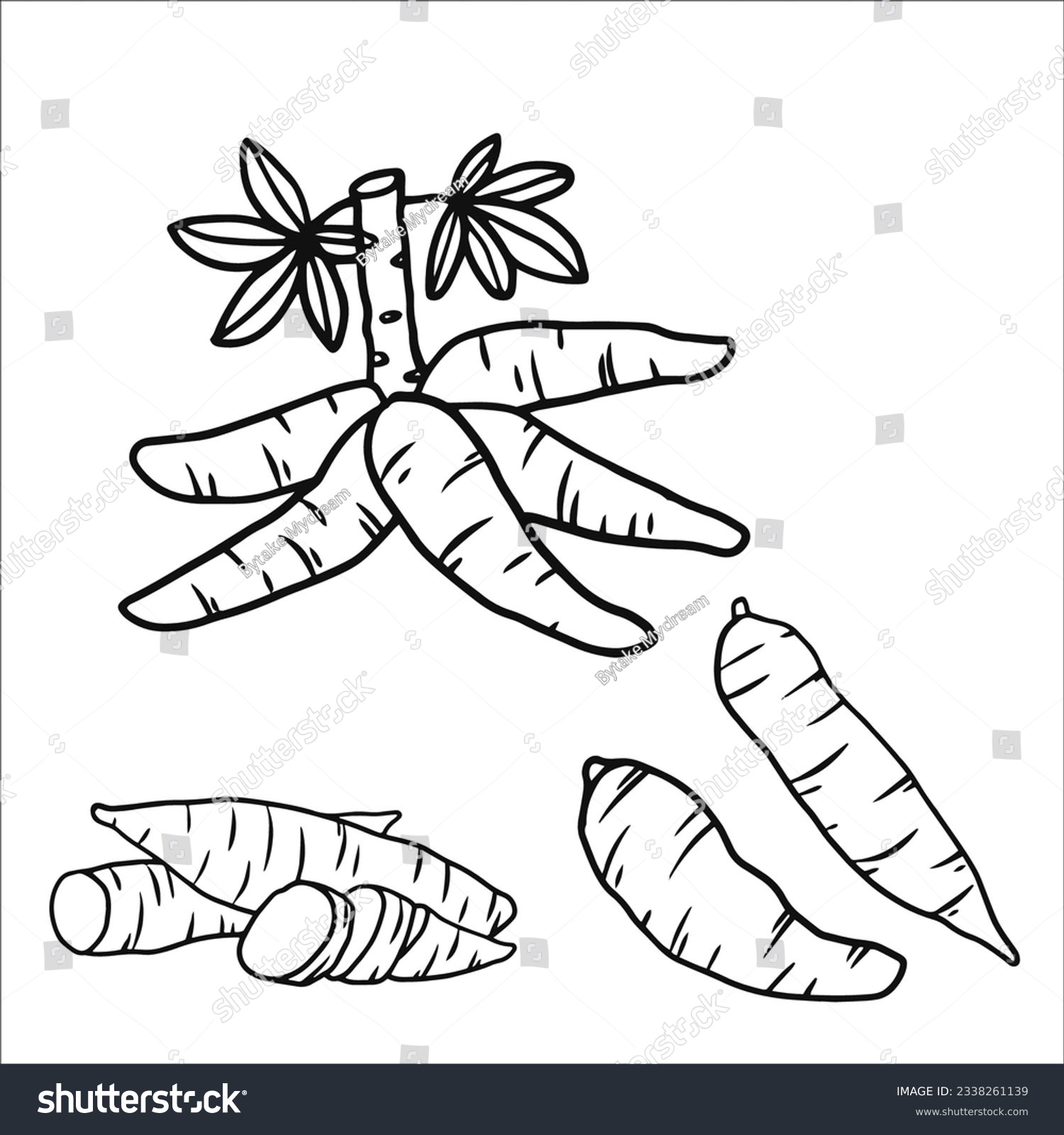 Vector Sketch Illustration Set Of Cassava As A Royalty Free Stock Vector 2338261139 2357