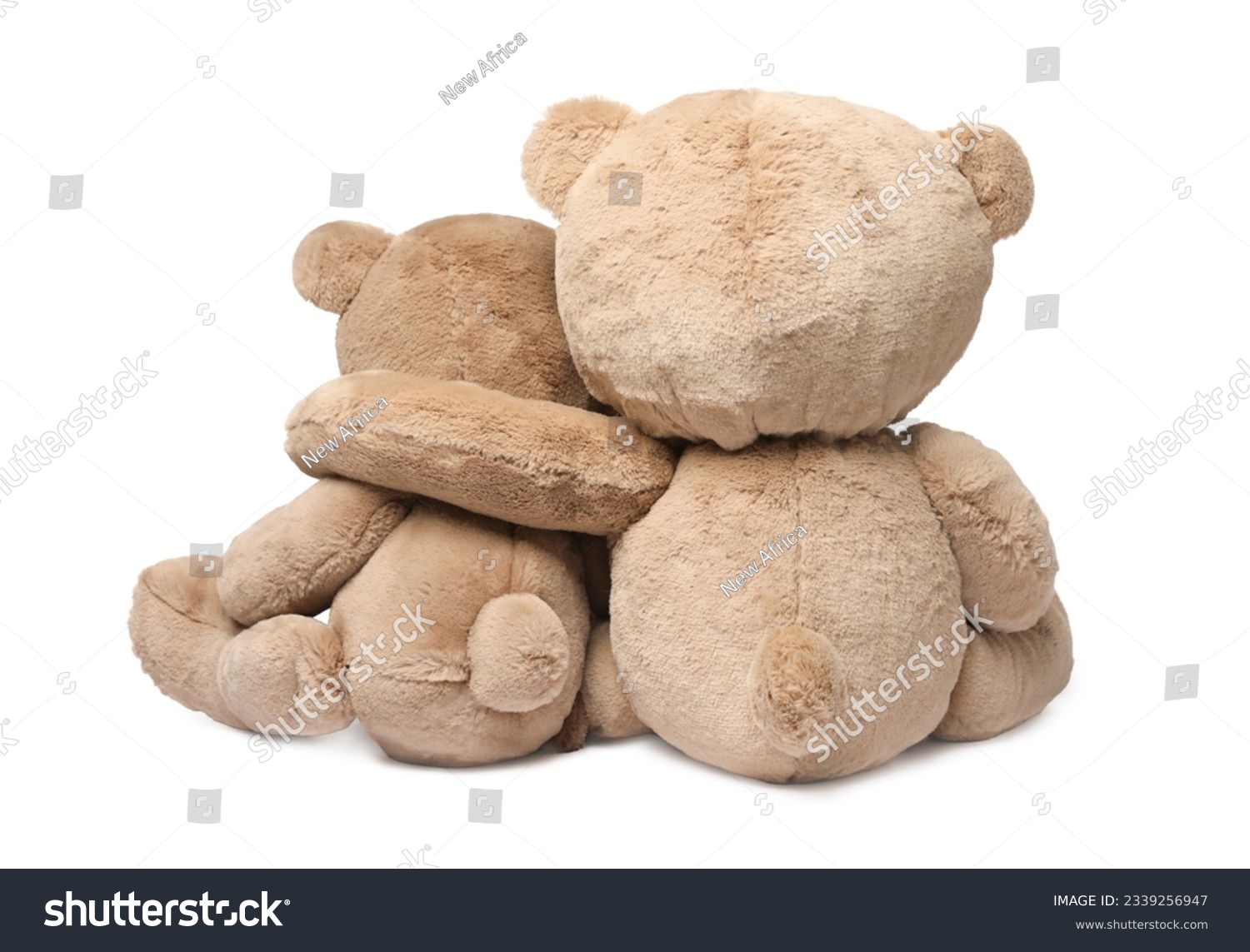 Cute teddy bears isolated on white, back view #2339256947