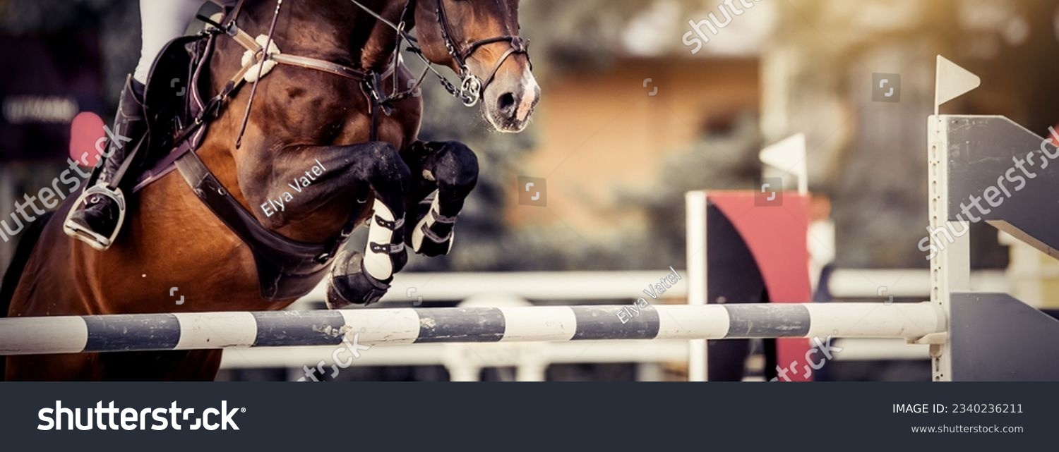 The shod hooves of a horse over an obstacle. The horse overcomes an obstacle. The leg of the rider in the stirrup, riding on a horse. Equestrian sport, jumping. Overcome obstacles.  #2340236211