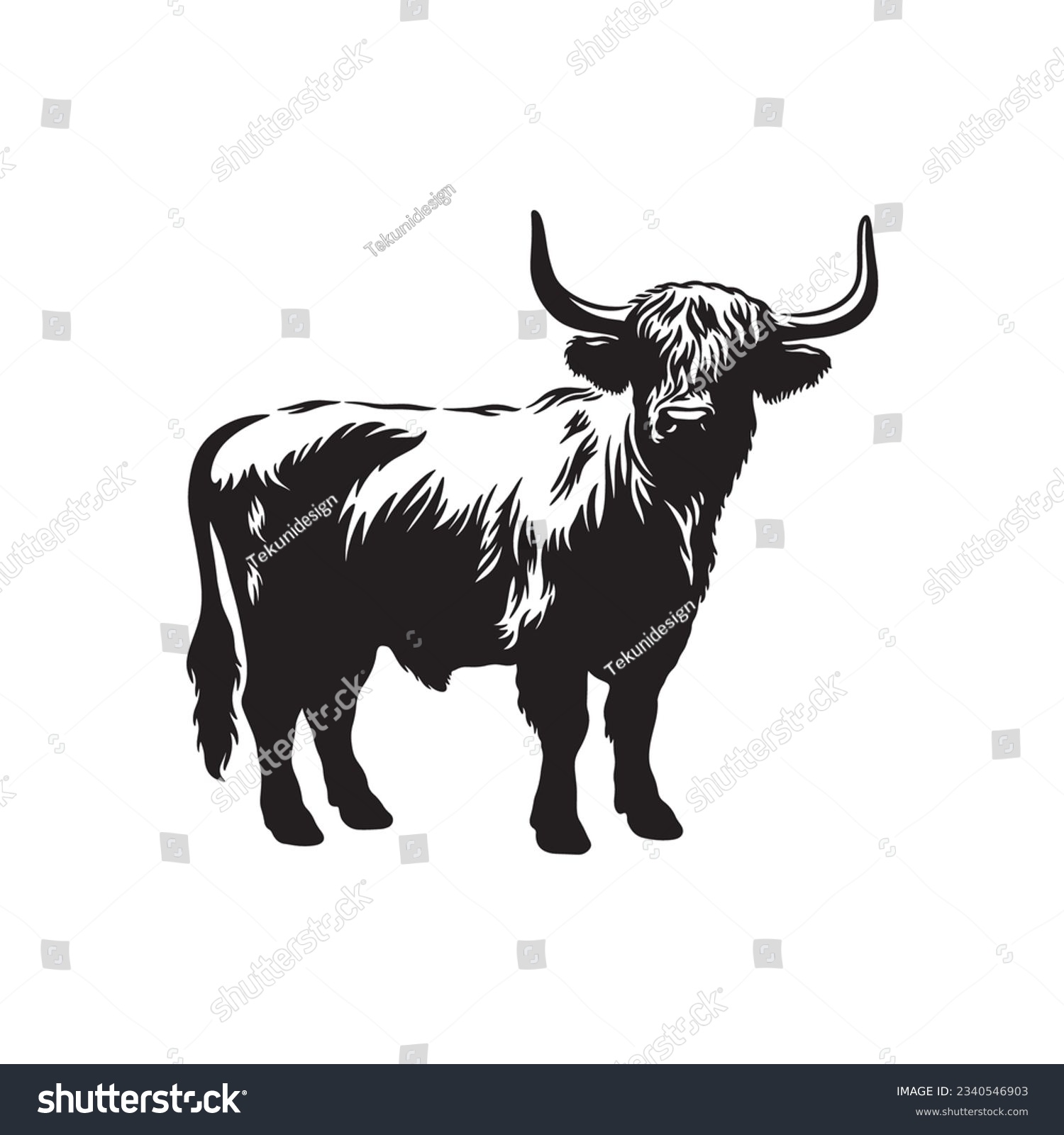 Highland cow detailed silhouette hand drawn - Royalty Free Stock Vector ...