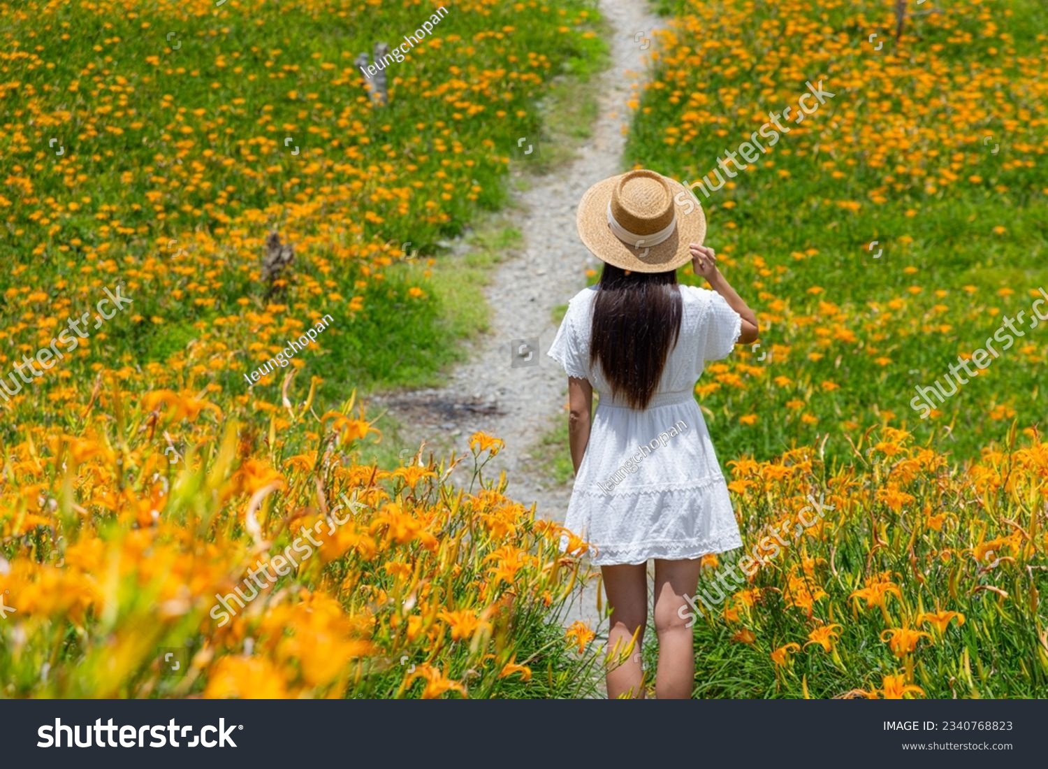 Travel woman go Flower field of beautiful orange daylily in Taimali Kinchen Mountain in Taitung of Taiwan #2340768823