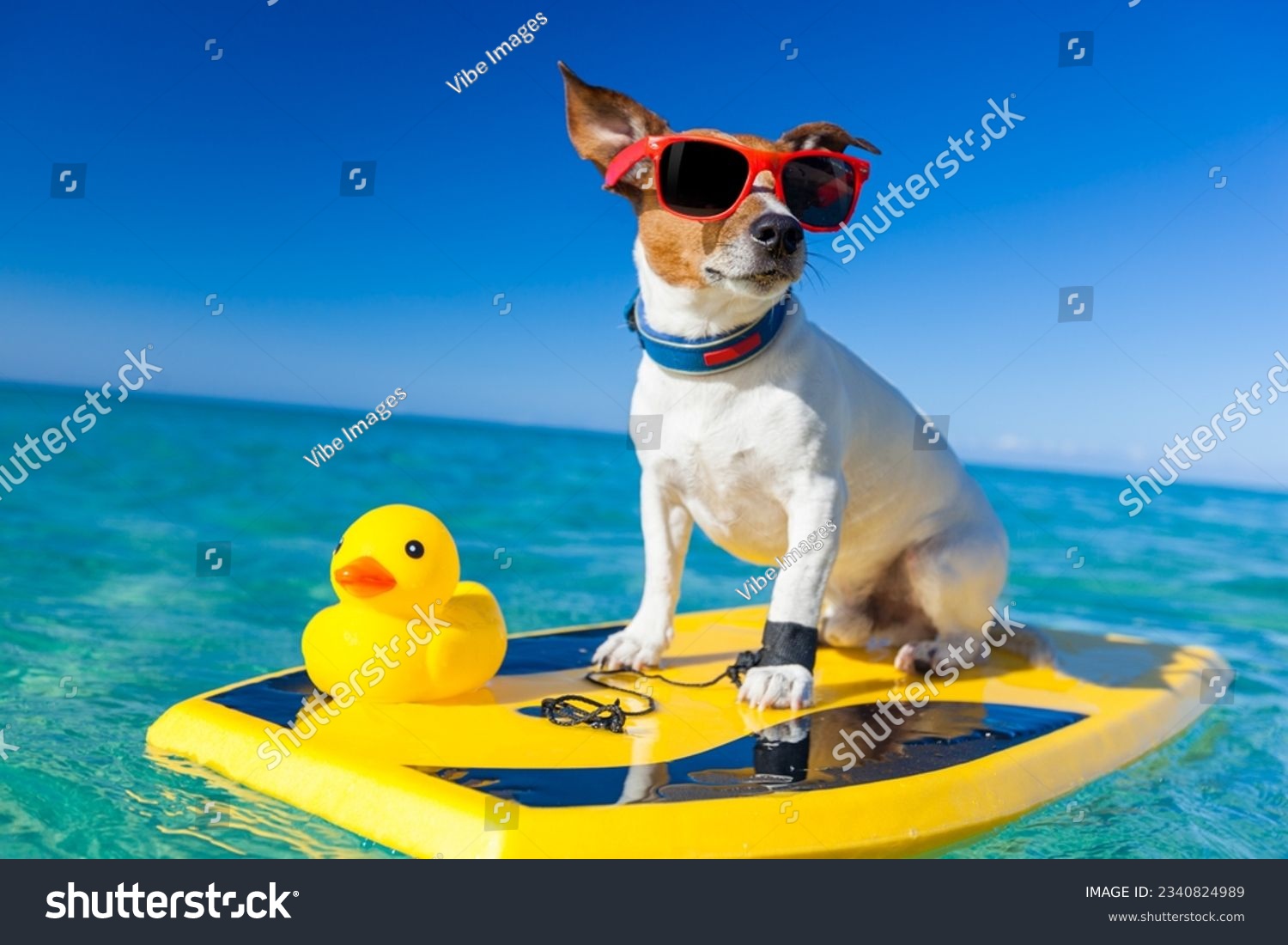 dog surfing on a surfboard wearing sunglasses with a yellow plastic rubber duck, at the ocean shore #2340824989