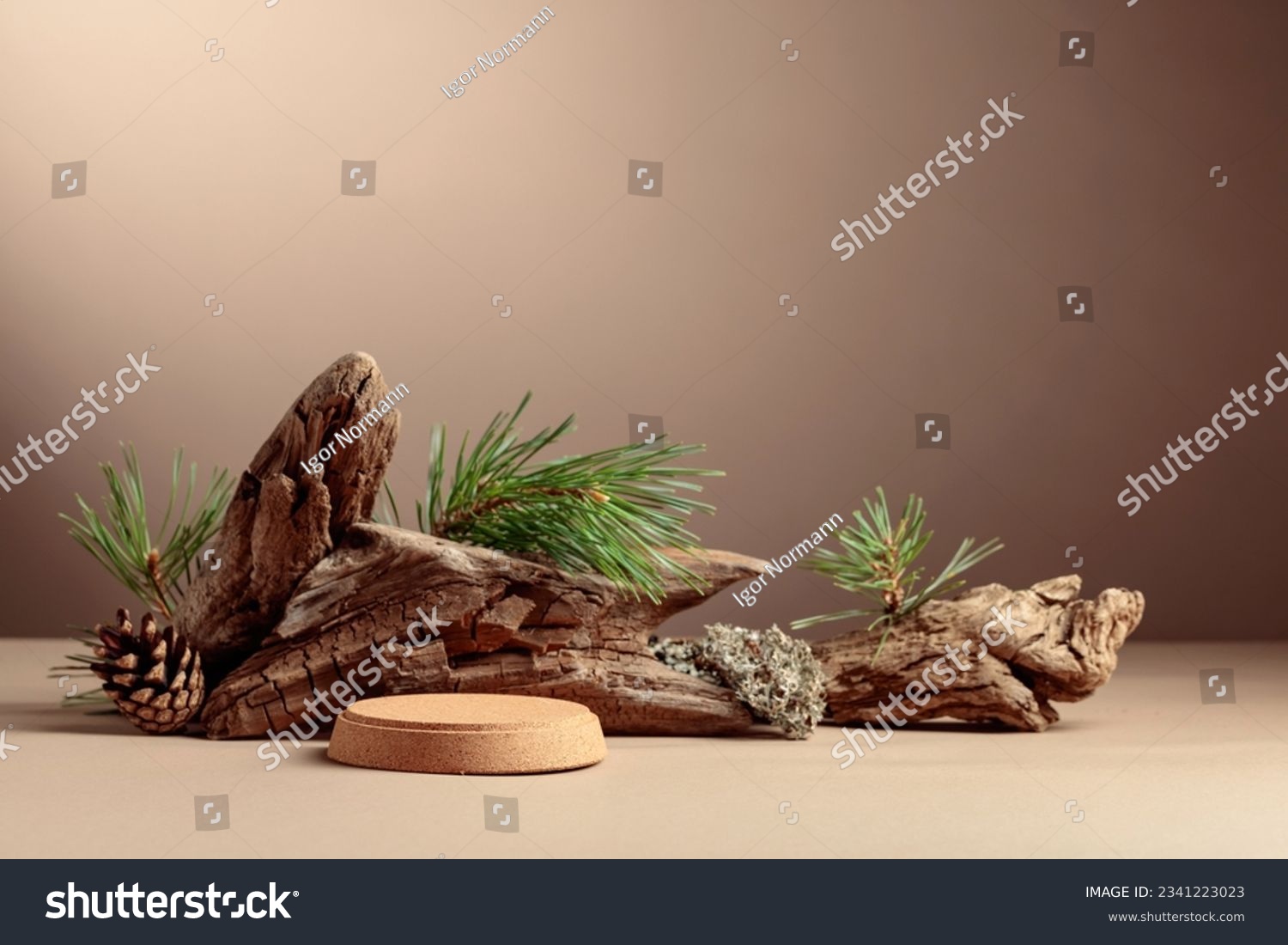 Abstract north nature scene with a composition of lichen, pine branches, and dry snags. Place your product on a cork podium. Copy space. #2341223023