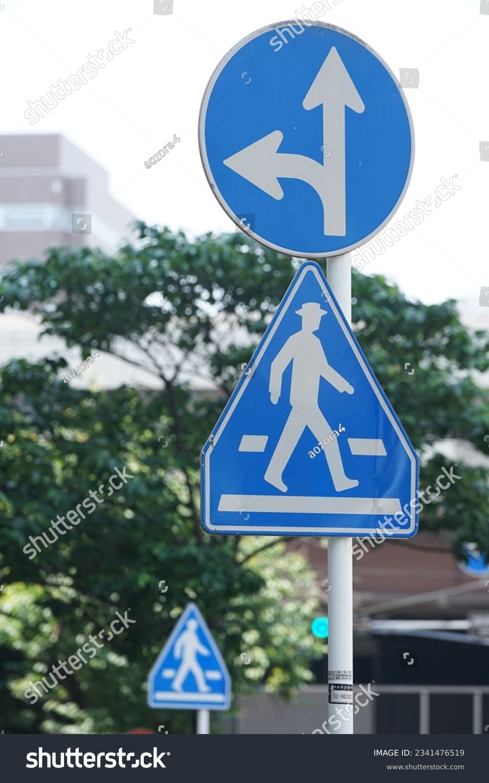 Blue traffic sign on Japan road showing direction signs and pedestrian crossings                                #2341476519