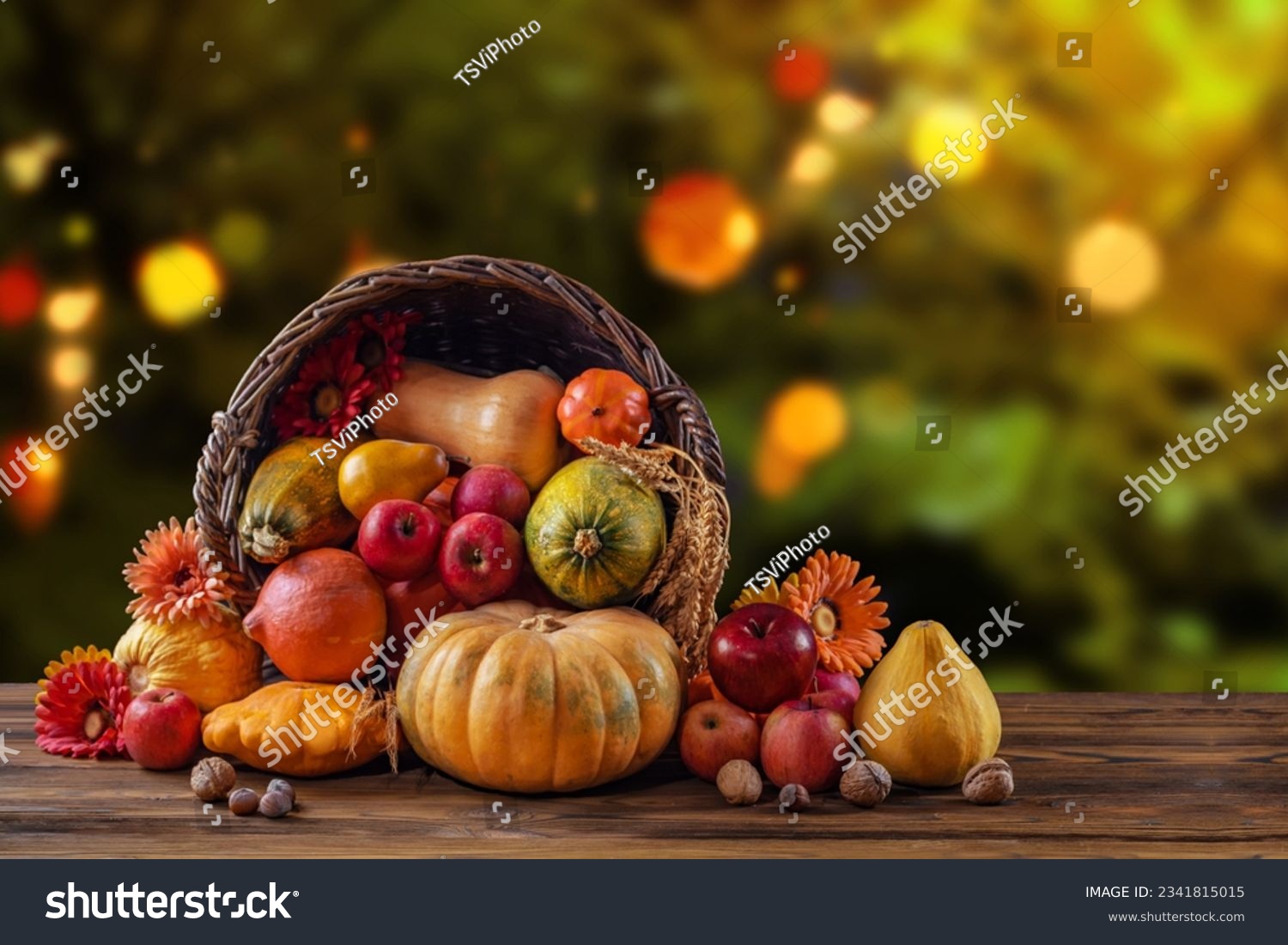 Thanksgiving day still life, background with empty copy space. Pumpkin harvest in wicker basket. Squash, vegetable autumn fruit, apples, and nuts on a wooden table. Halloween decoration fall design. #2341815015